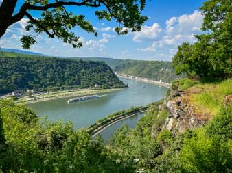 Panoramablick auf den Rhein, der sich durch grüne Hügel beim Loreleyfelsen schlängelt. Ein Flusskreuzfahrtschiff fährt zwischen bewaldeten Hängen.
