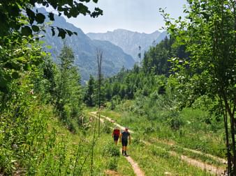Two hikers on the forest path during the alpine pasture hike at Lake Wolfgangsee