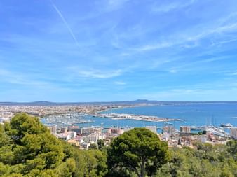 View of the port of Palma