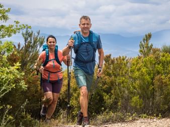 Hikers in the mountains on the Way of St. James