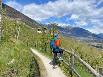 Hiker enjoys the view high above the Adige Valley