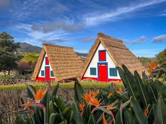 Beautiful red and blue traw houses in Santana