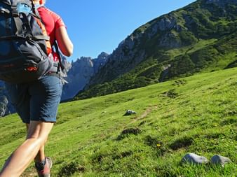 Wanderin auf dem Gosaukamm
