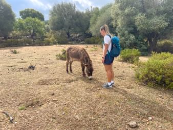 Wanderin mit blauem Rucksack beobachtet einen braunen Esel beim Grasen auf sandigem Boden umgeben von mediterraner Vegetation und Olivenbäumen.