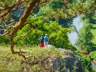Zwei Wanderer stehen auf felsiger Klippe bei den Zwölf Aposteln im Altmühltal und blicken auf einen Fluss umgeben von grünen Bäumen.