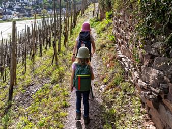 Wanderpfad inmitten von Rebstoecken