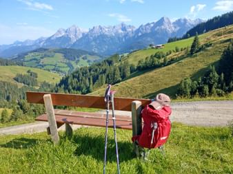 Cosy hiking break with view to Steinernes Meer of the Pinzgau grass mountains