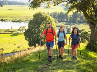 Drei Wanderer mit Rucksäcken und Wanderstöcken auf einem sonnigen Weg durch grüne Wiesen mit Bäumen, See und sanften Hügeln in Bayern.