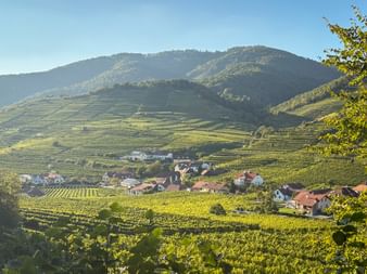 Terrassierte Weinberge umgeben das Dorf Spitz in der Wachau mit dem Tausendeimerberg im Hintergrund unter klarem blauen Himmel.