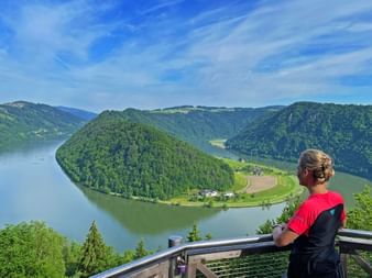 A cyclist enjoys the view of the Schlögener Schlinge