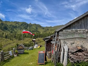Traditionelle Almhütte Wolter Alm mit Steinmauern und Holzdach. Österreichische Flagge weht davor, grüne Berghänge und blauer Himmel im Hintergrund.