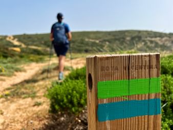 Hölzerner Wegweiser mit grünen und blauen Streifen im Vordergrund, Wanderer im blauen Shirt auf Pfad durch Küstenvegetation im Hintergrund.