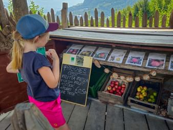 Child at the fruit stand in Lagundo Waal South Tyrol