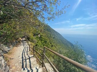 Malerischer Wanderweg mit Holzgeländer entlang eines steilen Hangs in Cinque Terre mit Blick auf das blaue Mittelmeer unter klarem Himmel.