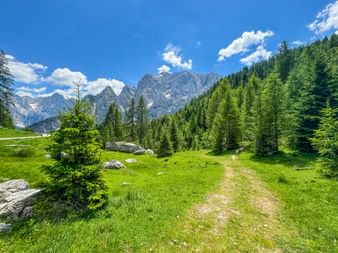 Hiking trail in Kranjska Gora