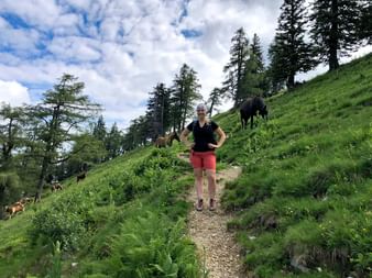 Hike up the Hohe Zinken through the pasture of horses