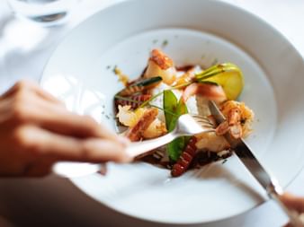 Hands with cutlery over a white plate with grilled shrimp, vegetables, and white sauce. The dish includes green vegetables and colorful garnishes.