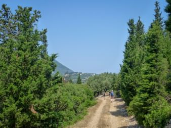 Hiker on the hiking trail