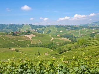 Hügeliges Piemont