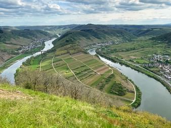 Blick auf die Moselschleife