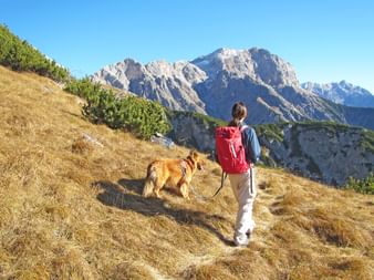 Gipfelpanorama im Pinzgau beim Wandern mit Hund