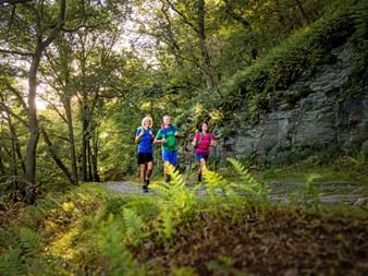 Hikers on the forest path along the Way of St. James