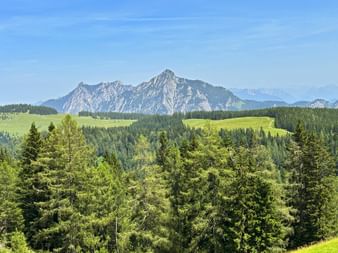 Weitblick über das Postalmgebiet mit Blick auf den Rinnkogel
