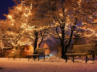 Shimmering Lights in Winter