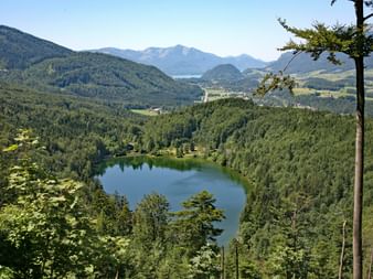 Charming view to lake Nussensee in the Salzkammergut region