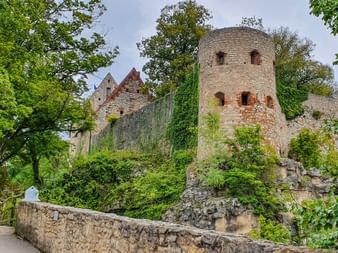 Historic Pappenheim Castle with round stone tower and ivy-covered walls on a hillside, framed by green trees under a cloudy sky.