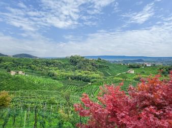 Rolling vineyard hills with red autumn foliage in foreground, green vine rows across terraced slopes, scattered buildings, and blue sky.