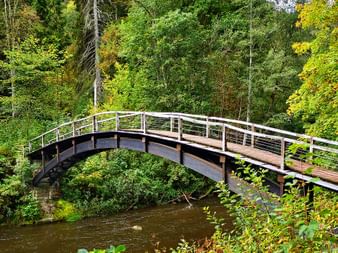 One of the bridges in the Wutach Gorge in the Black Forest