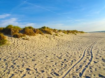 Nybrostrand Oesterlenleden