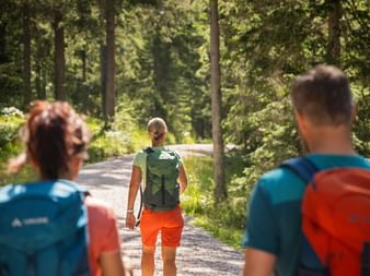 Drei Wanderer im Wald in Oberbayern