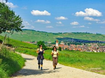 Hiking without luggage in Ammerschwihr
