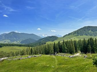 Wanderweg mit Gebirgsblick