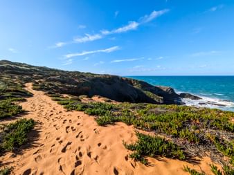 Wanderpfad auf der Rota Vicentina