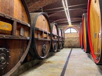 Barolo wine cellar Piedmont