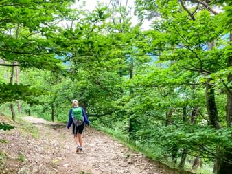Wanderin bergab auf Waldweg