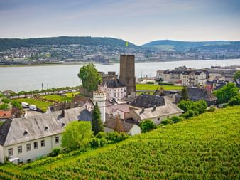 Rüdesheim am Rhein
