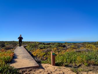 Frau läuft auf Holzsteg durch Küstenvegetation bei Carvalhal an der Rota Vicentina. Blauer Ozean am Horizont unter klarem Himmel sichtbar.
