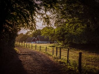 Erdweg umrahmt von Bäumen führt zu traditionellen schwedischen Bauernhäusern mit roten Dächern in Kullaberg. Holzzaun säumt sonnige Wiese.