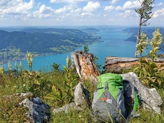 Grüner und grauer Wanderrucksack auf Felsen mit Wildblumen, mit Blick auf die türkisfarbenen Attersee-Mondsee-Seen im Salzkammergut, Österreich.