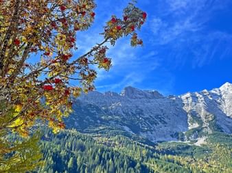 Mountain panorama Zugspitze