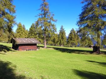 Alpine hut in green nature in Salten