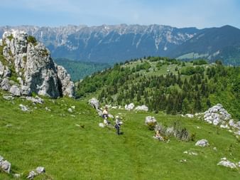Hügel mit einigen Felsen auf der Wiese