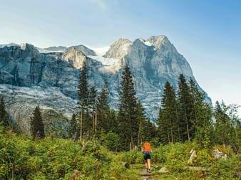 Hikers in the hamlet of Schwarzwaldalp with the Wetterhorn in view Hikers in the hamlet of Schwarzwaldalp with the Wetterhorn in view