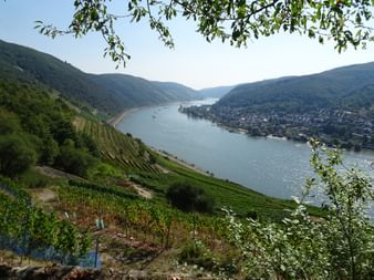 Traumhafter Rheinblick