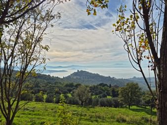 Blick auf den Lago Trasimeno