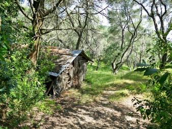 Old wooden hut by the olive grove